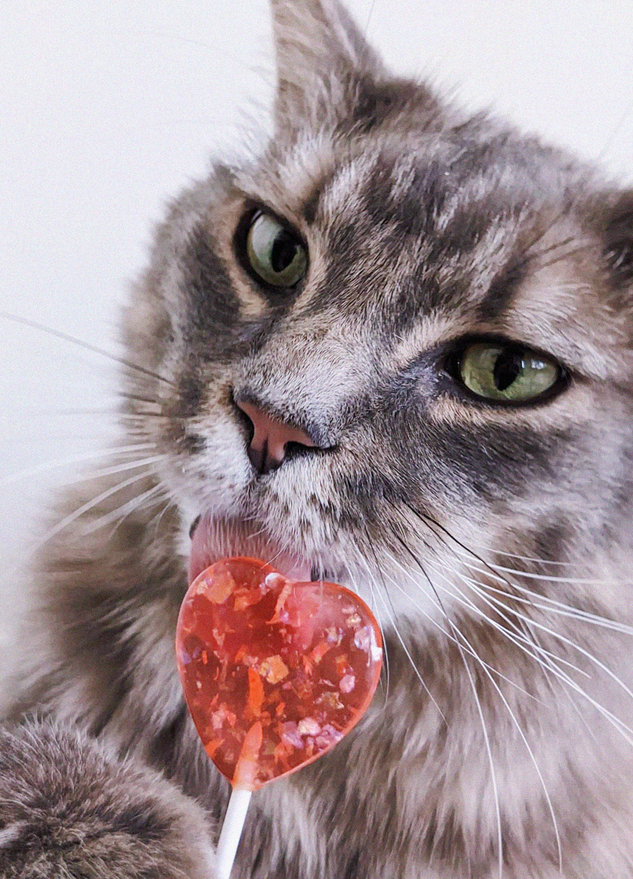 hogarth licking a heart shaped lollipop (don't worry, it is a prop and not real
