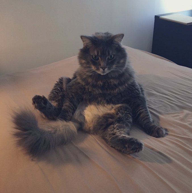 hogarth sitting weird